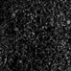 01. NEGRO PIGMENTO SOMBRA SUELTA